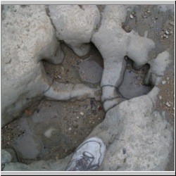 100_0823 (2009-27-07)cr.jpg